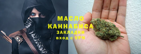 молекула духа Лабытнанги