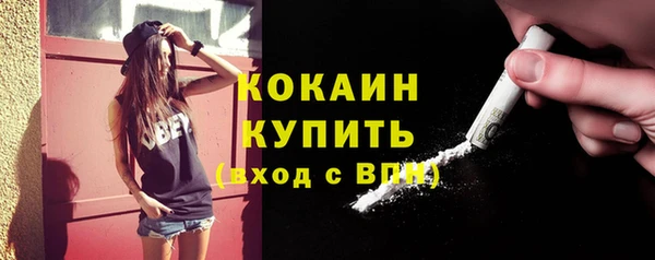 шишки Лагань