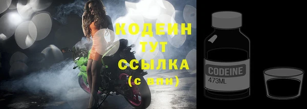 шишки Лагань