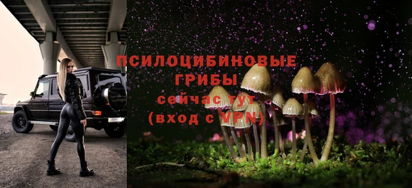 молекула духа Лабытнанги