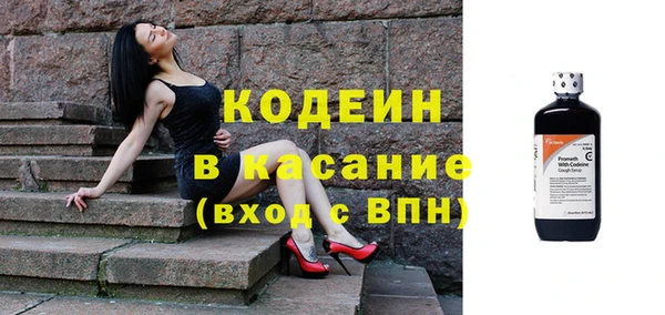 молекула духа Лабытнанги