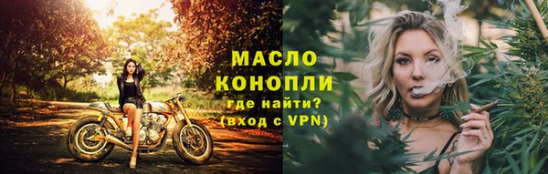 молекула духа Лабытнанги
