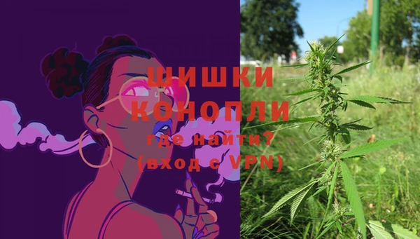 шишки Лагань