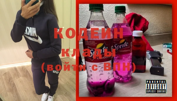 шишки Лагань