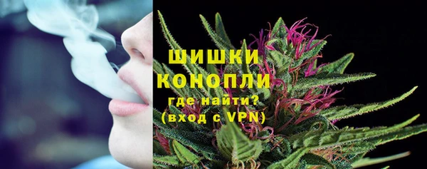шишки Лагань
