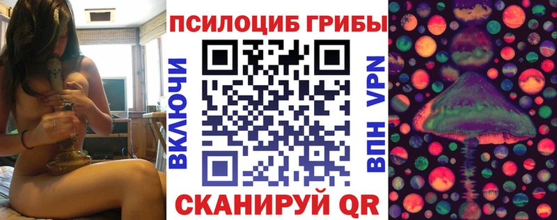 Псилоцибиновые грибы Cubensis  Купить закладки  Абинск 